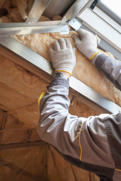 Best Crawl Space Insulation  in Georgetown, IL